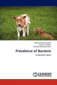 bokomslag Prevalence of Bacteria