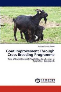 bokomslag Goat Improvement Through Cross Breeding Programme
