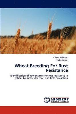 Wheat Breeding For Rust Resistance 1