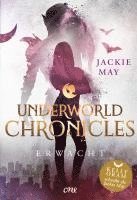 bokomslag Underworld Chronicles - Erwacht