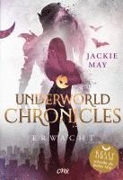 Underworld Chronicles - Erwacht 1