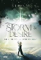 bokomslag Storm & Desire - Die Geheimnisse von Asgard Band 2