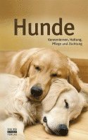 Hunde 1