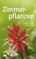 Zimmerpflanzen 1