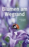 bokomslag Blumen am Wegrand