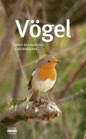 bokomslag Vögel