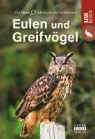 bokomslag Eulen und Greifvögel