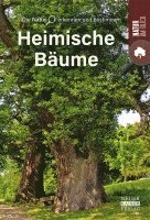 Bäume 1