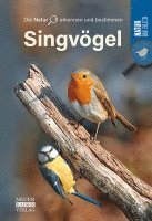 bokomslag Singvögel