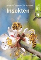 bokomslag Insekten