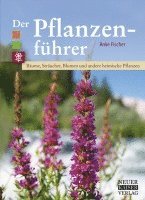 Anke Fischer - Der Pflanzenführer, Häftad