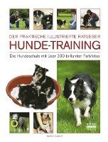 bokomslag Hunde-Training