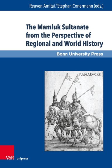Reuven Amitai, Stephan Conermann - Mamluk Sultanate from the Perspective of Regional and World History, Inbunden