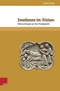 bokomslag Emotionen im 'Tristan'