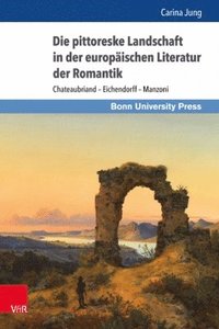 bokomslag Die pittoreske Landschaft in der europäischen Literatur der Romantik