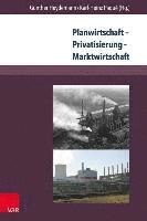 bokomslag Planwirtschaft - Privatisierung - Marktwirtschaft: Wirtschaftsordnung Und -Entwicklung in Der Sbz/Ddr Und Den Neuen Bundeslandern 1945-1994