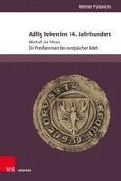bokomslag Adlig Leben Im 14. Jahrhundert: Weshalb Sie Fuhren: Die Preussenreisen Des Europaischen Adels. Teil 3