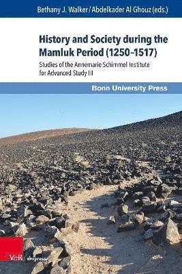 bokomslag History and Society during the Mamluk Period (12501517)