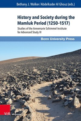 History and Society during the Mamluk Period (1250-1517) 1