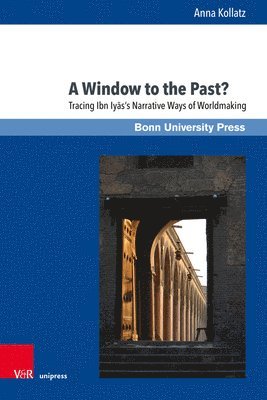 bokomslag Window to the Past?