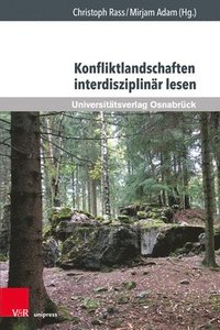 bokomslag Konfliktlandschaften interdisziplinär lesen