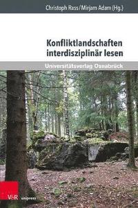 bokomslag Konfliktlandschaften interdisziplinr lesen