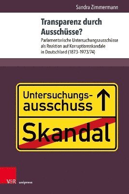 bokomslag Transparenz durch Ausschsse?