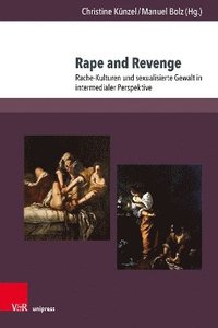 bokomslag Rape and Revenge