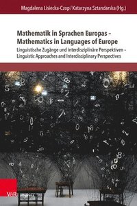 bokomslag Mathematik in Sprachen Europas - Mathematics in Languages of Europe