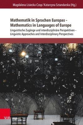 bokomslag Mathematik in Sprachen Europas  Mathematics in Languages of Europe