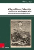 bokomslag Wilhelm Diltheys Philosophie des historischen Bewusstseins