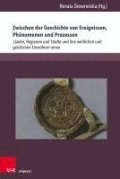 Zwischen der Geschichte von Ereignissen, Phnomenen und Prozessen 1