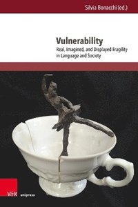 bokomslag Vulnerability: Real, Imagined, and Displayed Fragility in Language and Society