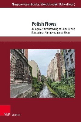 bokomslag Polish Flows