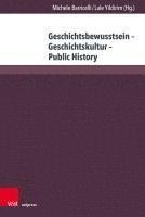 bokomslag Geschichtsbewusstsein - Geschichtskultur - Public History: Ein Spannendes Verhaltnis