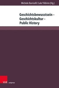 bokomslag Geschichtsbewusstsein - Geschichtskultur - Public History: Ein Spannendes Verhaltnis