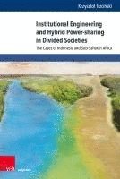 bokomslag Institutional Engineering and Hybrid Power-Sharing in Divided Societies: The Cases of Indonesia and Sub-Saharan Africa