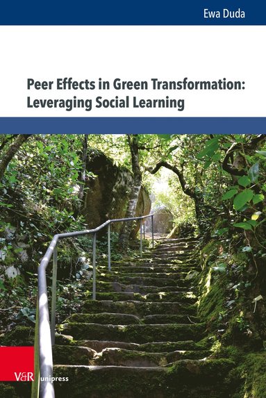 bokomslag Peer Effects in Green Transformation: Leveraging Social Learning