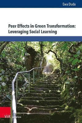 Peer Effects in Green Transformation: Leveraging Social Learning 1