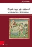 bokomslag Mixanthropoi Intersektional: Animalisch-Menschliche Mischwesen in Der Volkssprachlichen Literatur Des Hochmittelalters