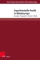 bokomslag Experimentelle Poetik in Mitteleuropa