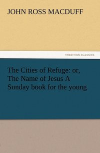 bokomslag Cities of Refuge