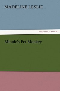 bokomslag Minnie's Pet Monkey