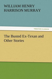 bokomslag The Busted Ex-Texan and Other Stories