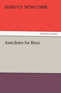 bokomslag Anecdotes for Boys