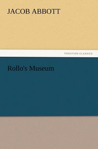 bokomslag Rollo's Museum