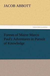 bokomslag Forests of Maine Marco Paul's Adventures in Pursuit of Knowledge