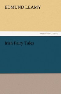 bokomslag Irish Fairy Tales