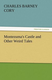 bokomslag Montezuma's Castle and Other Weird Tales