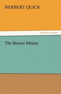 bokomslag Brown Mouse